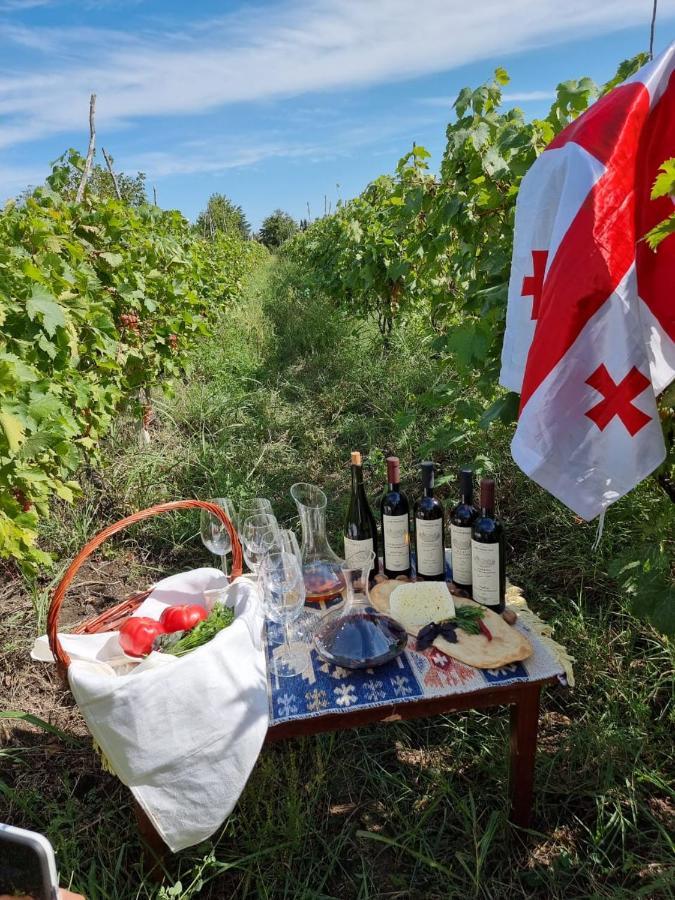 Brothers Khutsishvili Wine Cellar Kisiskhevi Extérieur photo